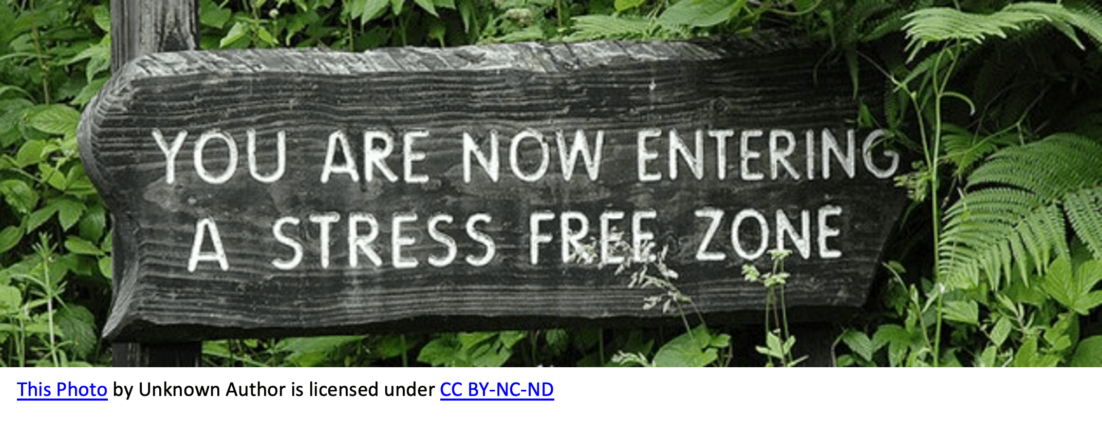 you are now entering a stress-free zone.